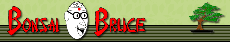 Bonsai Bruce logo